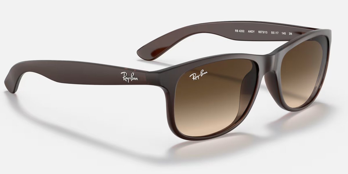 Ray-Ban RB4202 Andy 6073/13 3N