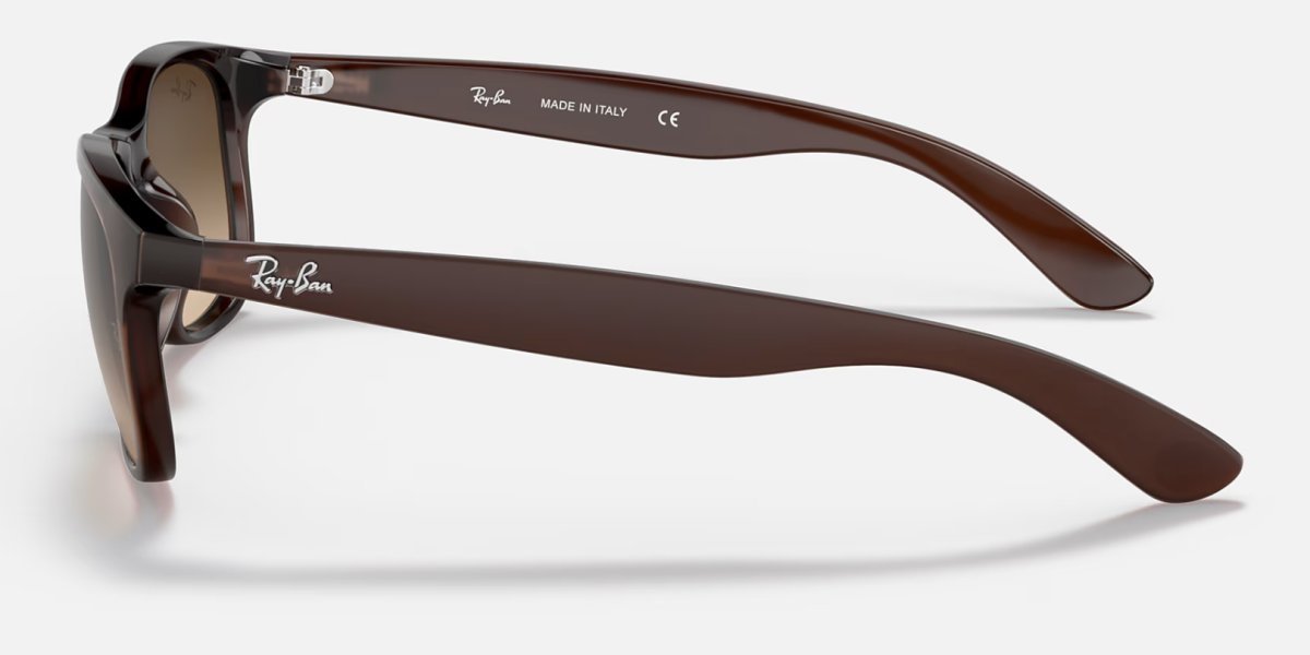 Ray-Ban RB4202 Andy 6073/13 3N